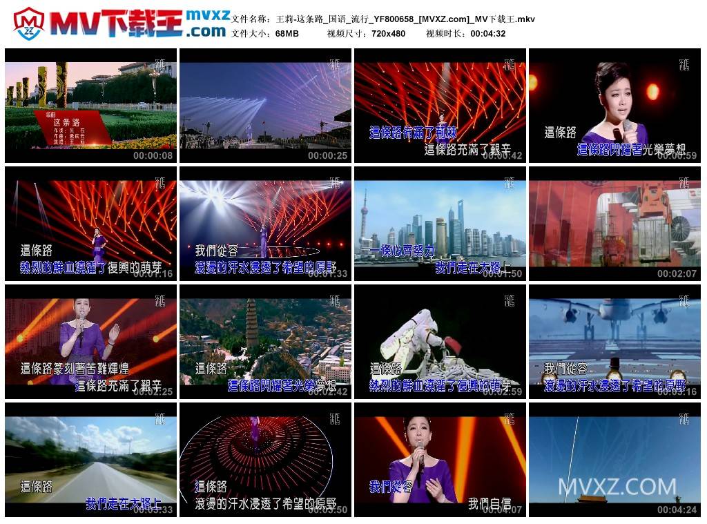 王莉-这条路_国语_流行_YF800658